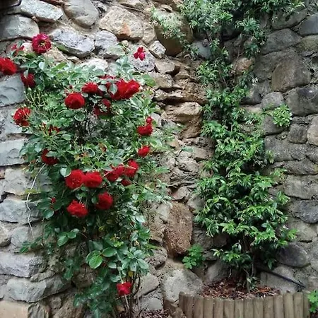 La Borda De Casa vacanze Sesué